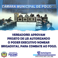 VEREADORES DE POCONÉ, APROVAM LEI PARA NOMEAÇÃO DE BRIGADISTAS